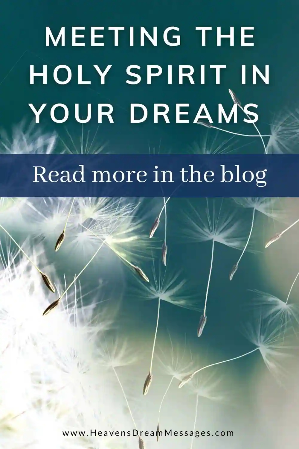 Picture of dandelion seeds, with text: meeting the Holy Spirit in your dreams