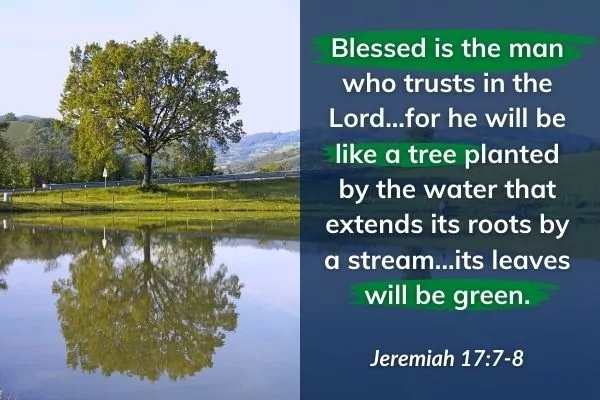 Picture of tree reflected in water with text: Blessed is the man who trusts in the Lord...for he will be like a tree planted by the water that extends its roots by a stream...its leaves will be green. Jeremiah 17:7-8