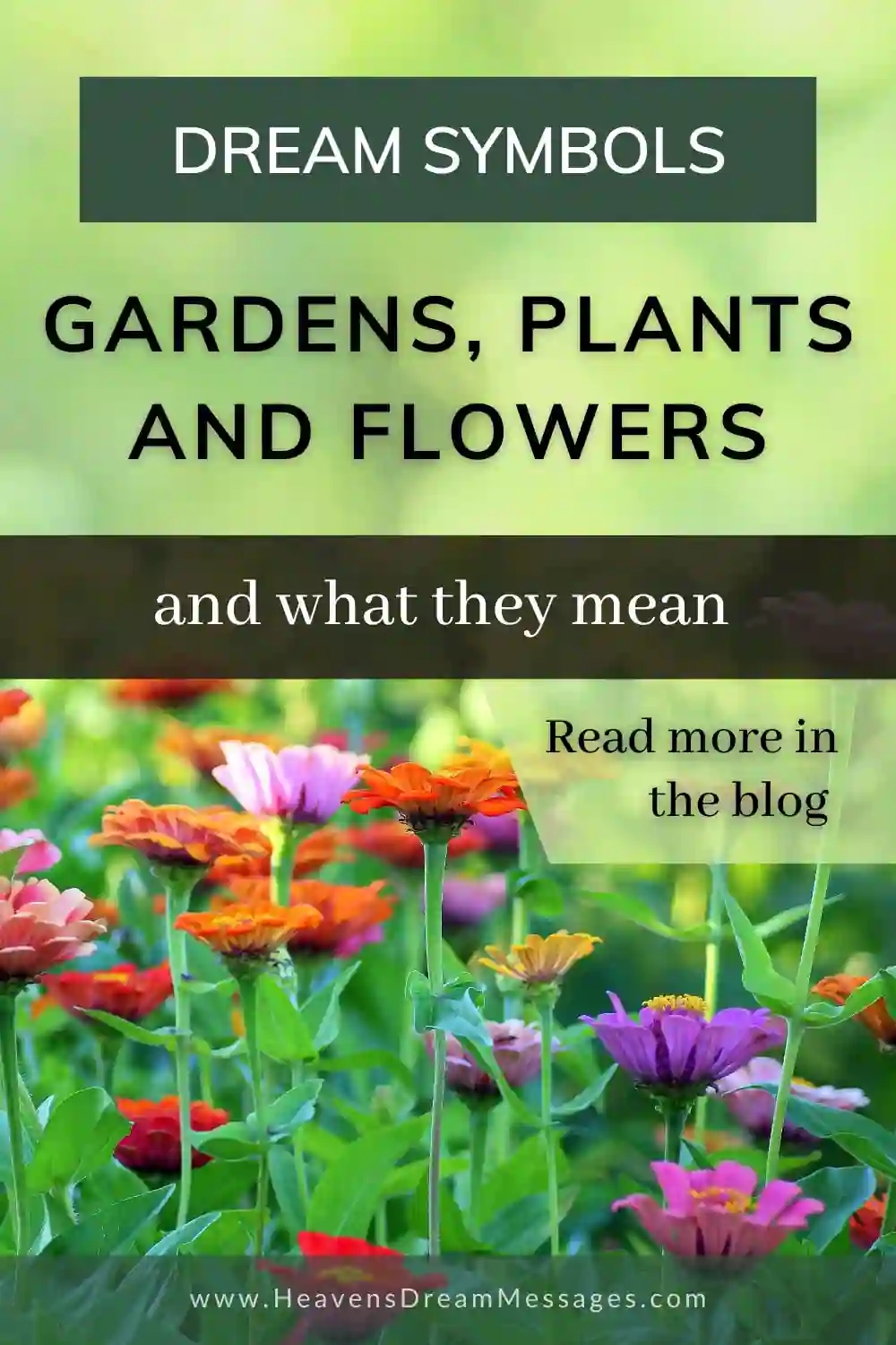 Picture of flowers, with text: Gardens, plants and flowers and what they mean